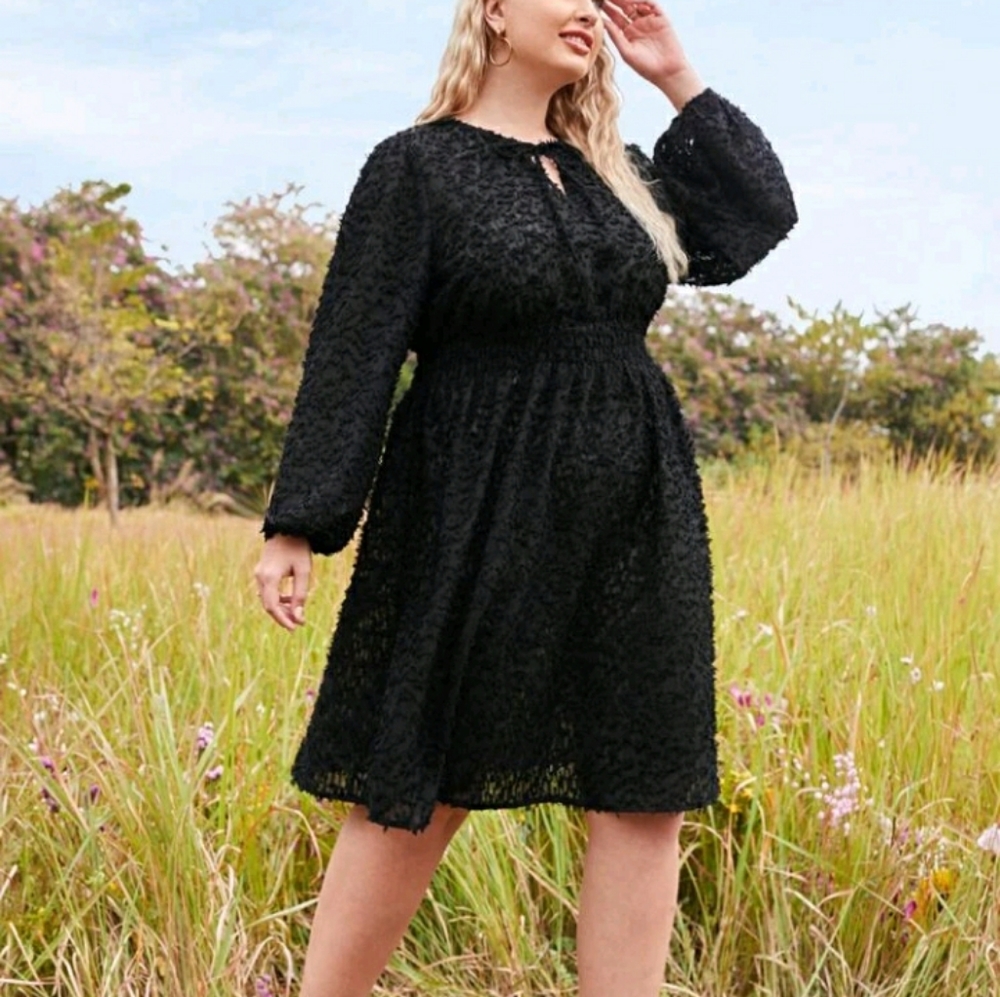 NEW Plus Black Dress - Picture 3 of 8